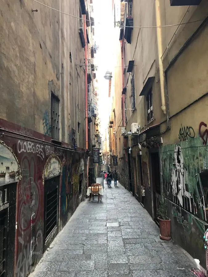 住宿加早餐酒店 Rooms In San Domenico Maggiore 3 那不勒斯