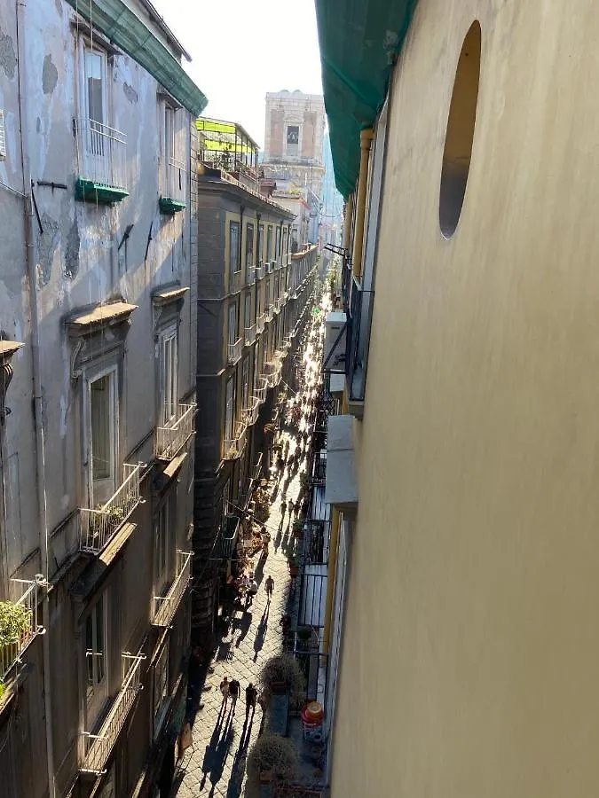 住宿加早餐酒店 Rooms In San Domenico Maggiore 3 那不勒斯